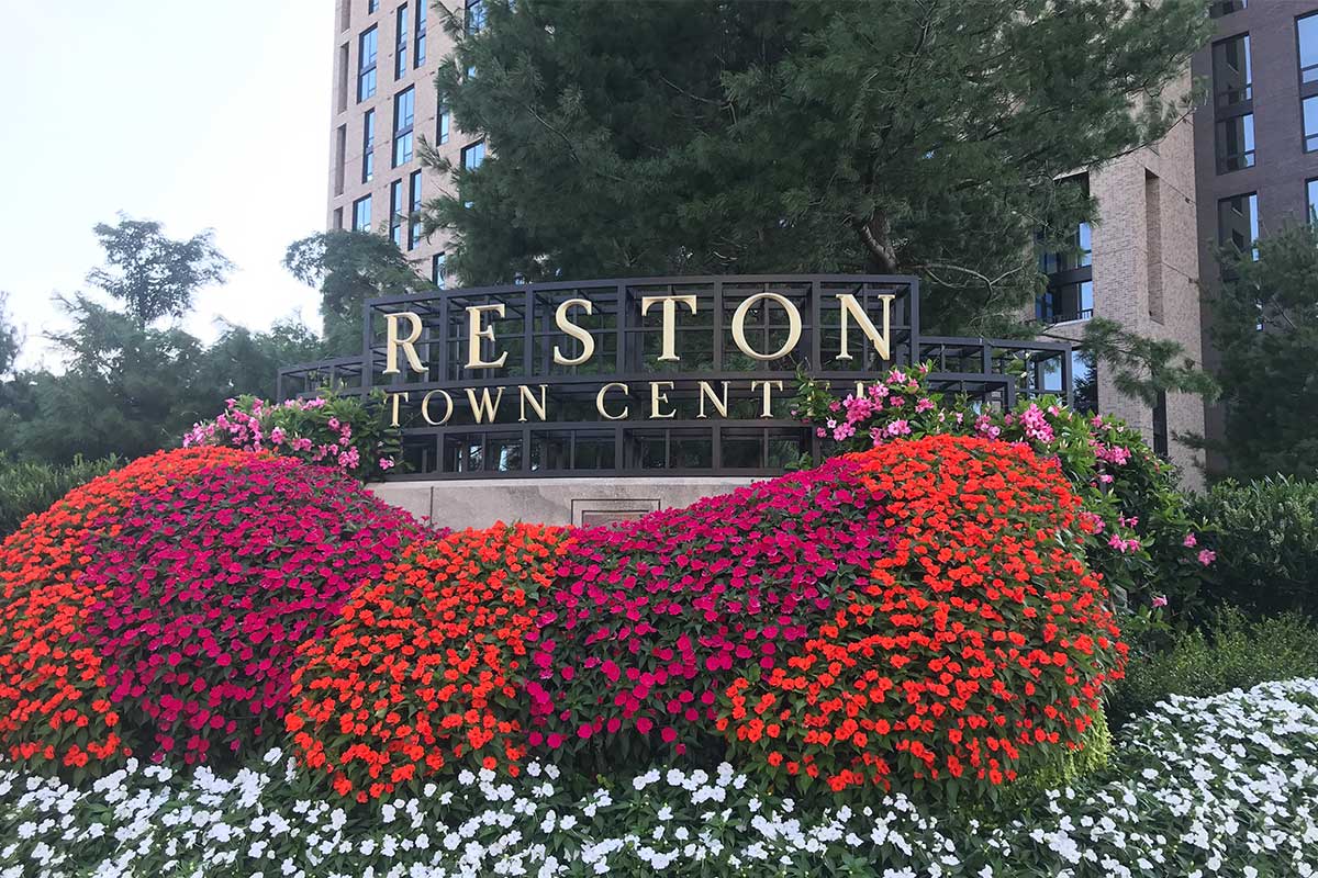 Mastering the Art of Fire in Reston, VA: An Advanced Guide